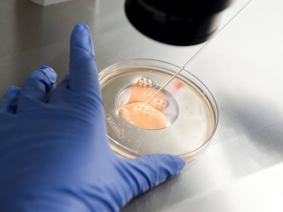 Embriólogo manipulando una caja de cultivo en el laboratorio de FIV