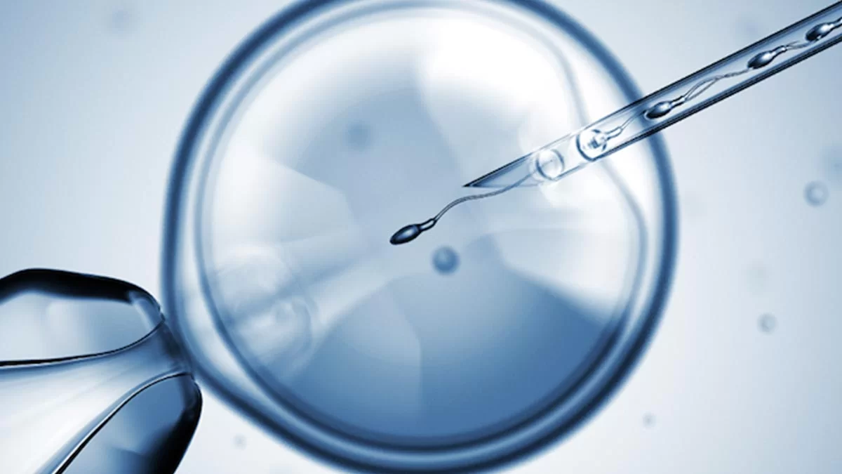 In Vitro Fertilization (IVF): Understanding the Process